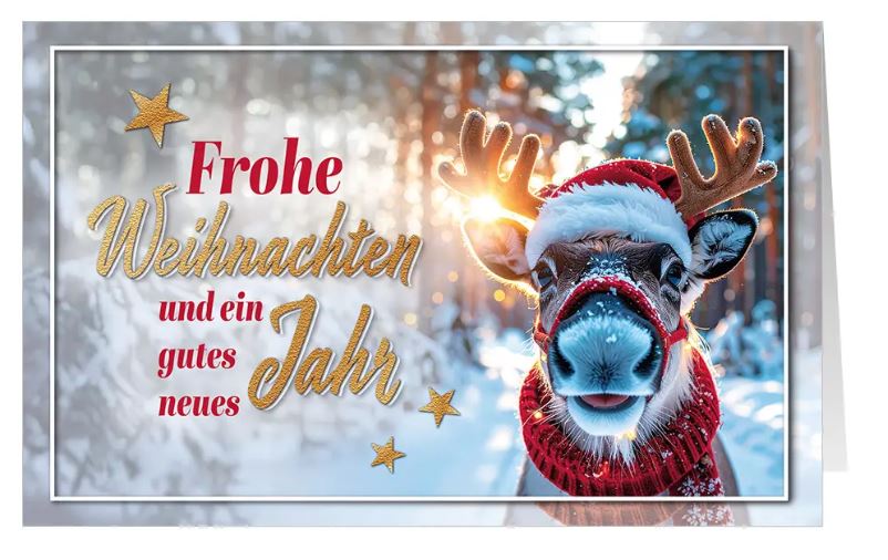 Origineller Spendenweihnachtsgruß mit drolligem Rentier in verschneiter Waldlandschaft zugunsten Ärzte ohne Grenzen