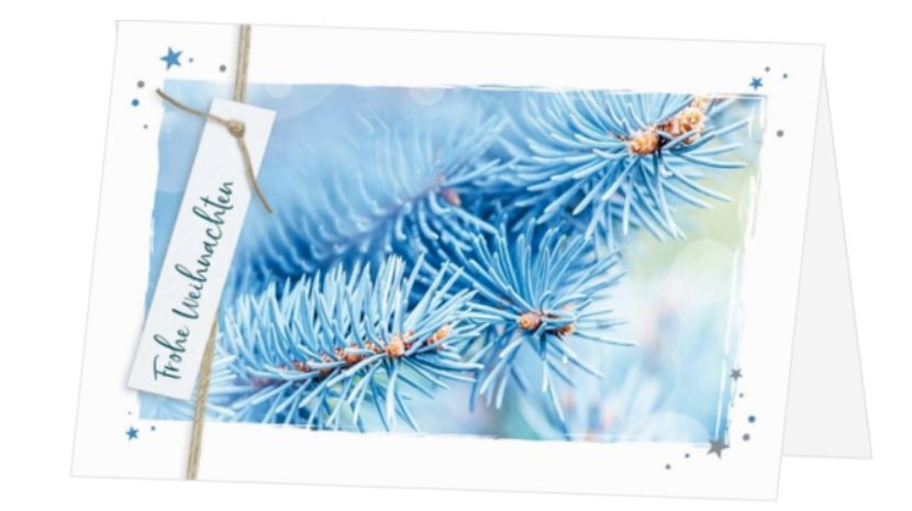 Stimmungsvolle Spendenweihnachtskarte mit winterlicher Blautanne und gutem Zweck: Berggorilla & Regenwald Direkthilfe e.V.