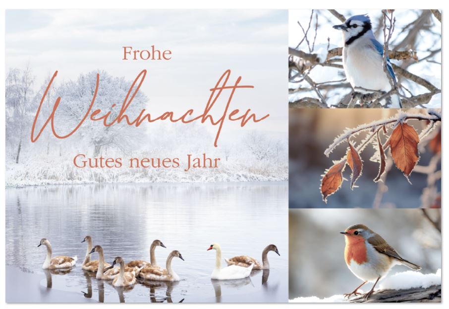 Spendenkarte mit Naturaufnahmen im Winter und gutem Zweck: Deutsche Krebs-Gesellschaft e.V.