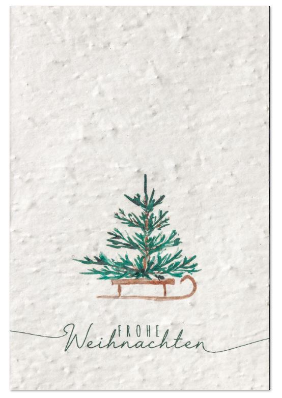 Samenpapier-Weihnachtskarte mit Tannenbaum auf Schlitten und Gruß "Frohe Weihnachten"
