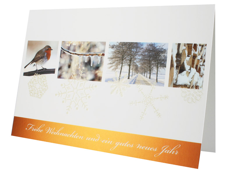 Klassische Weihnachtskarte mit Spende zugunsten Deutsche Krebsgesellschaft mit winterlichen Motiven von Vogel, Allee, Holzstapel und Eiszapfen