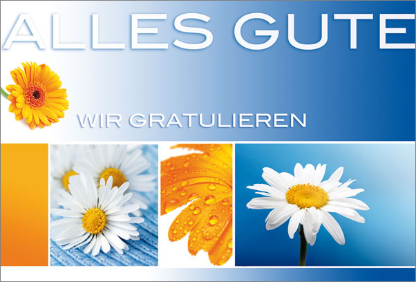 Glückwunschkarte mit Gerbera und Margeritenblüten und Schriftzug Alles Gute wir gratulieren