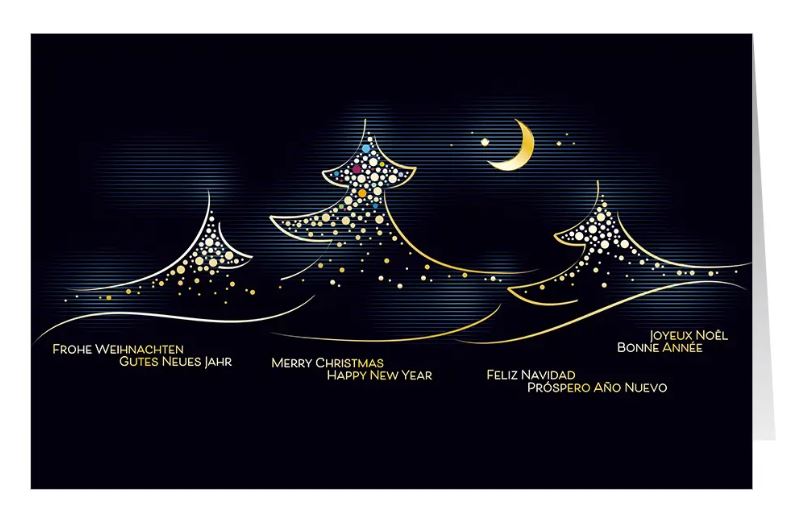 Spenden-Weihnachtskarte "Festliche Nacht" mit internationalen Grüßen und Gutem Zweck: Ärzte ohne Grenzen