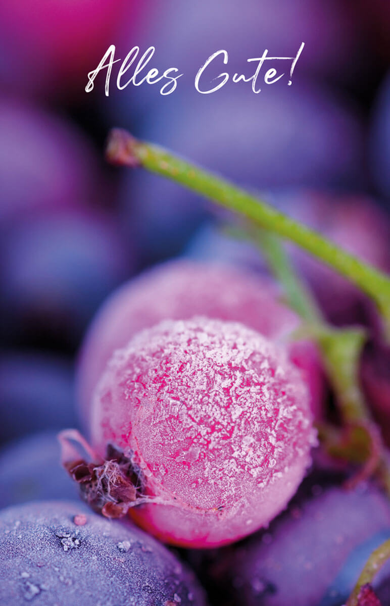"Alles Gute!" ist zusammen mit vereisten Beeren auf der Vorderseite der Glückwunschkarte zu sehen.