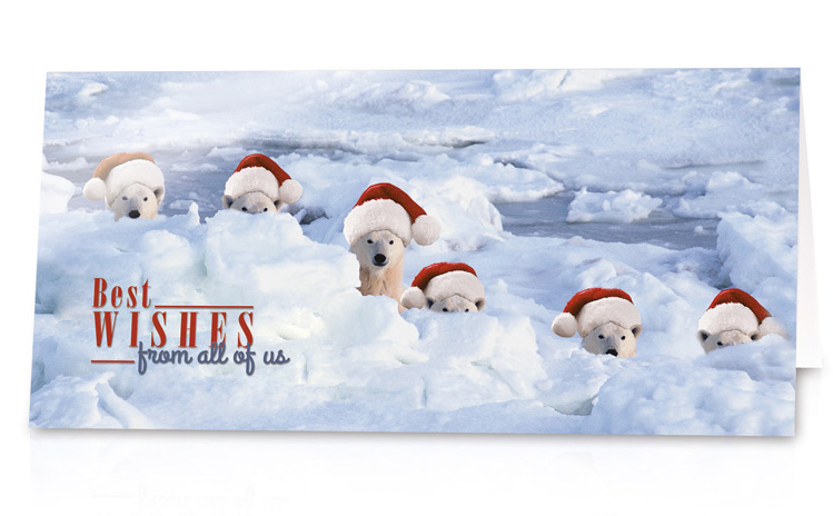 Lustige Weihnachtskarte mit Eisbären mit Weihnachtsmützen