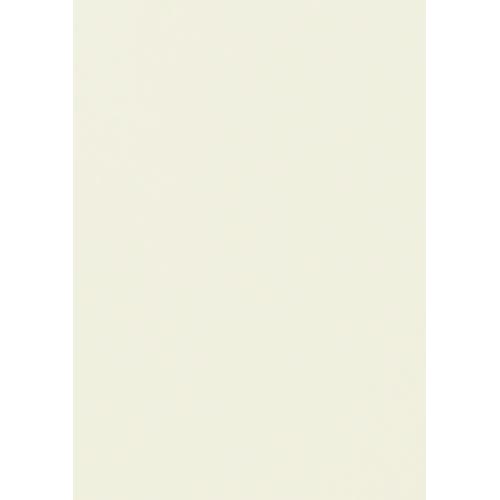 Blankokarton DIN A 4 cremefarben 250g/m² bm4262A4