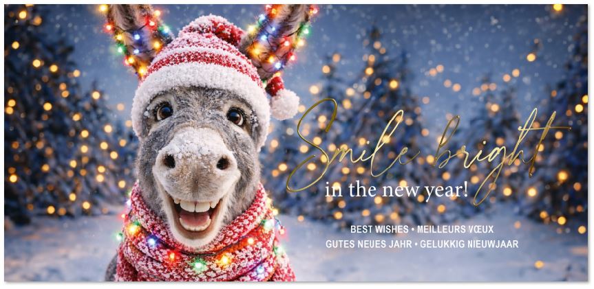 Tierische Neujahrsgrußkarte "Heiterer Neuanfang" mit grinsendem Esel und internationalen Neujahrswünschen, DIN lang