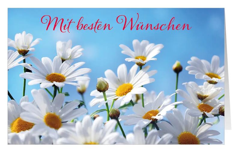 Glückwunschkarte "Blütenpracht" mit weißen Margeriten unter blauem Himmel und besten Wünschen