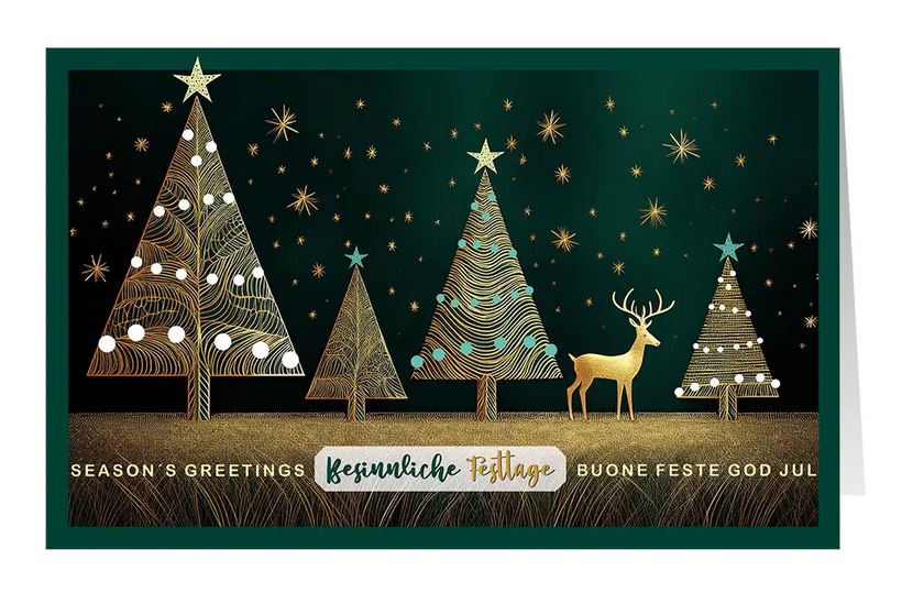 Elegante Spenden-Weihnachtskarte "Season`s Greetings" mit internationalen Grüßen für Ärzte ohne Grenzen
