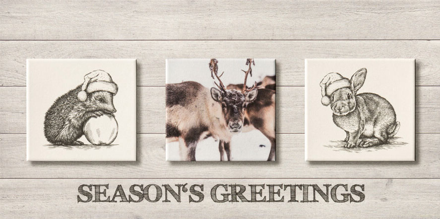 Weihnachtskarte creme mit Season's Greetings und Abbildungen von Igel, Rentier und Hase