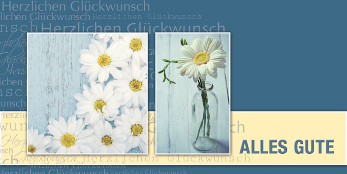 Glückwunschkarte mit weißen Blüten - DIN lang Format