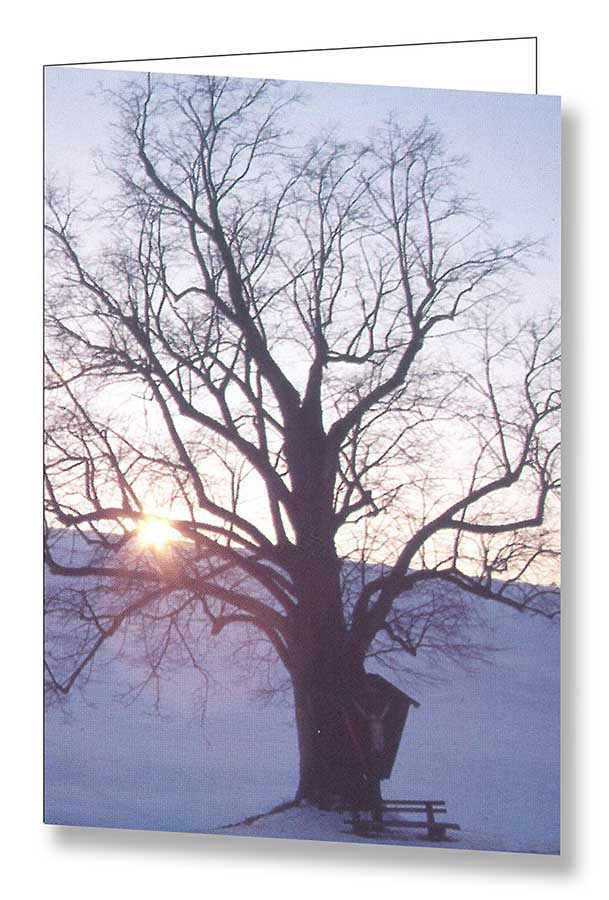 Gedenkbildchen "Lebensbaum" mit Winterlandschaft im Licht der untergehenden Sonne