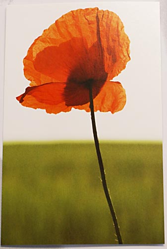 Glückwunschkarte pr201