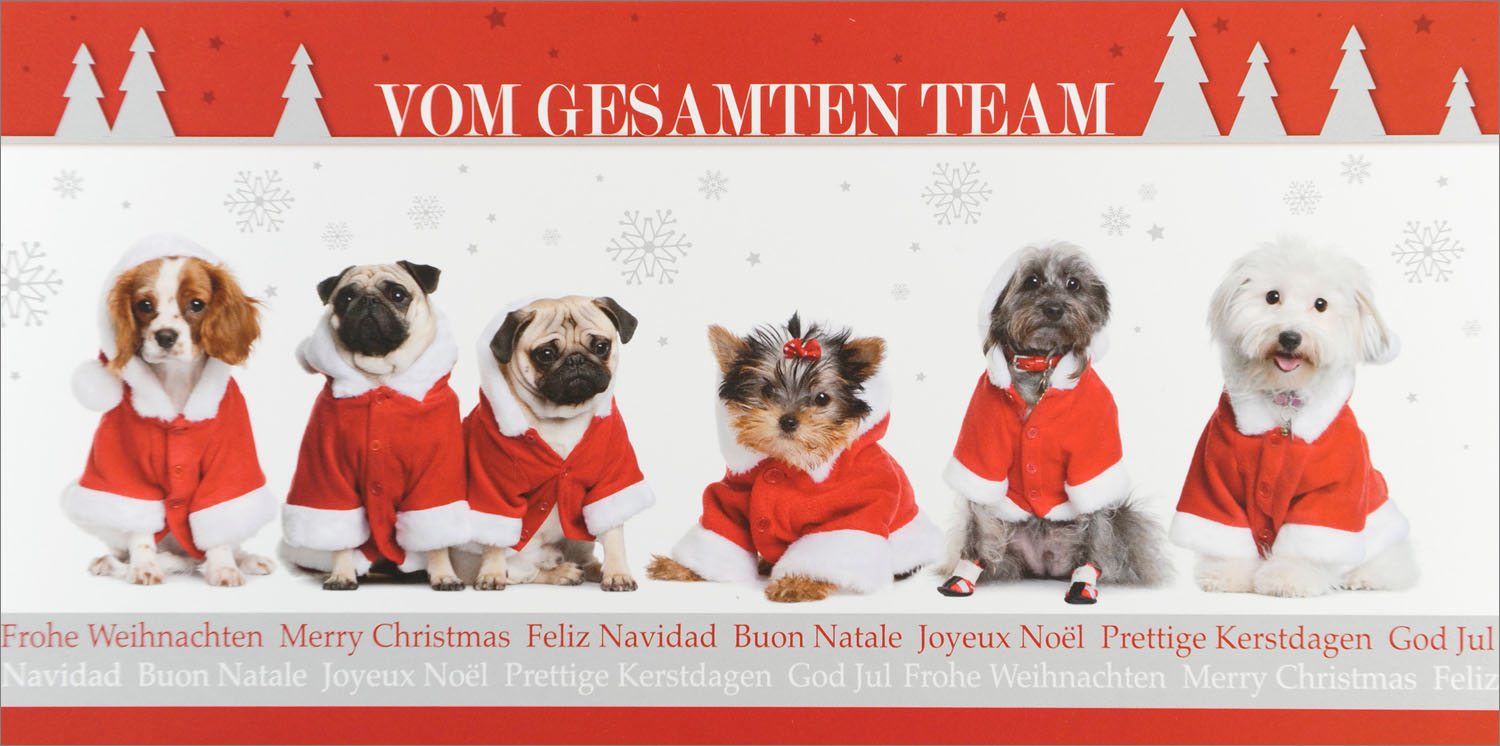 Weihnachtskarte Frohe Weihnachten vom gesamten Team Hunde als Weihnachtsmänner Tierarzt
