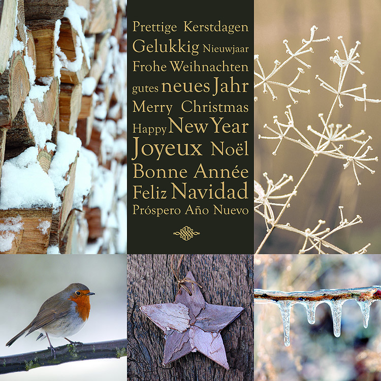 Spendenkarte winterlich guter Zweck: Make-A-Wish e.V.