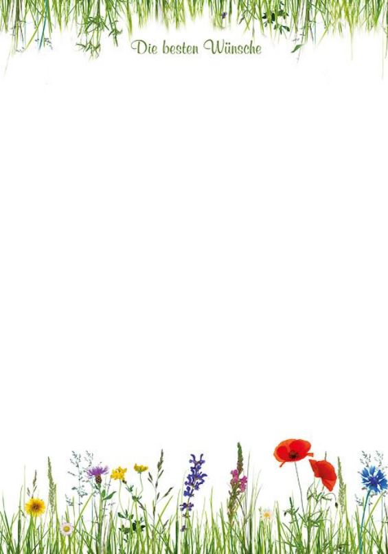 Glückwunschbriefbogen mit besten Wünschen und sommerlichen Wiesenblumen und Gräsern