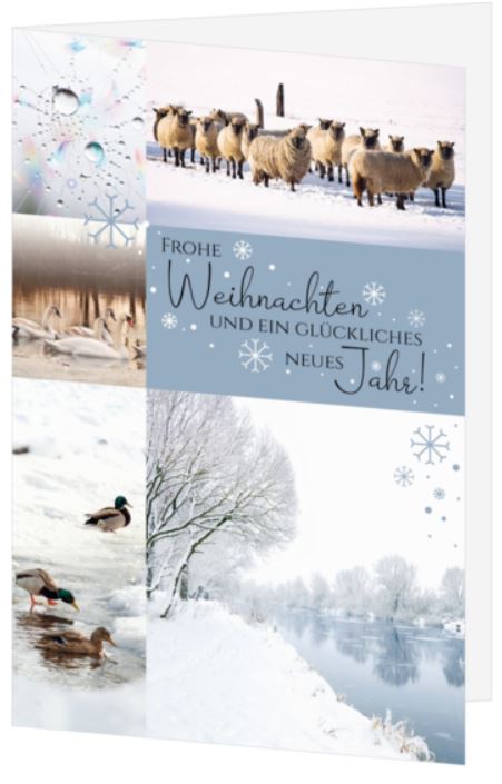 Winterliche Spendenkarte "Naturimpressionen" mit Landschafts-Fotocollage und gutem Zweck: Sharkproject Germany e.V.