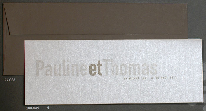 Blankokarte silber 22x8 cm bm100089 + dunkelbraunem Briefkuvert