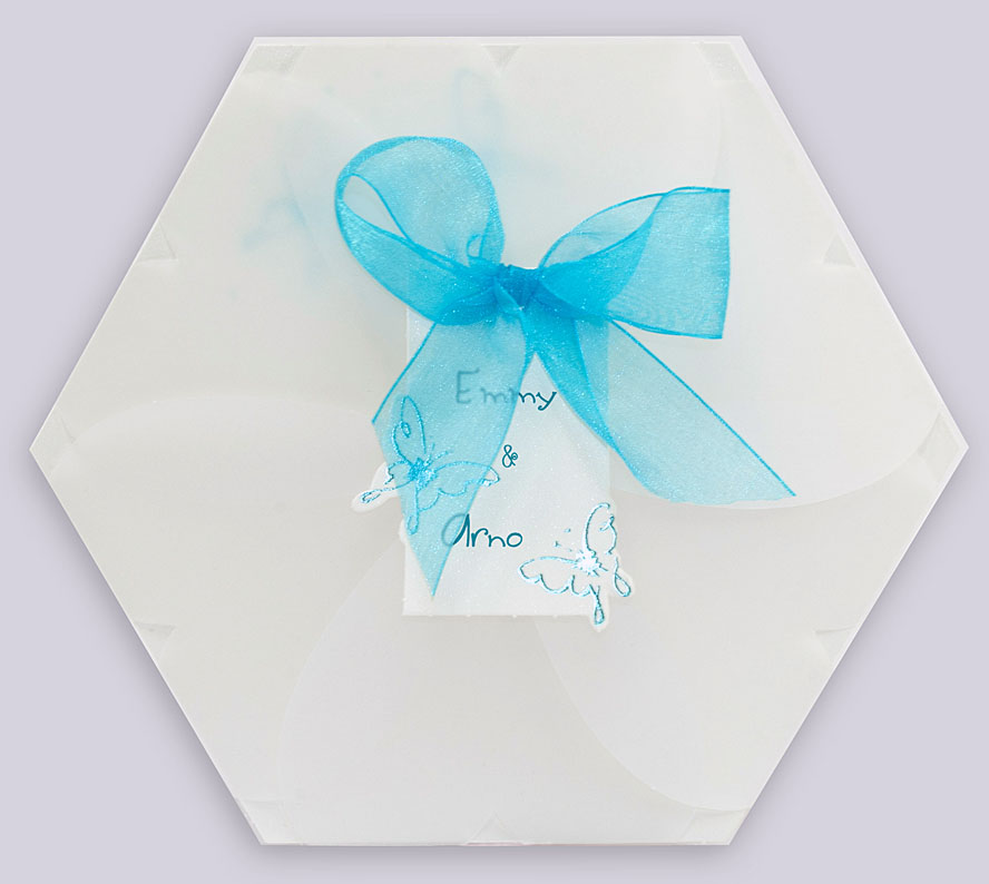 Hochzeitskarte ju454 Transparenttasche Herzen Schmetterlinge