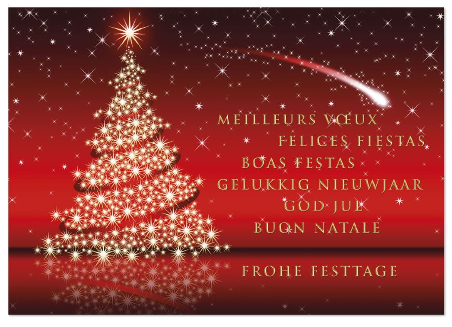 Mehrsprachige Weihnachts-Spendenkarte mit funkelndem Baum und Sternen zugunsten von Deutsche Kinderkrebs-Stiftung
