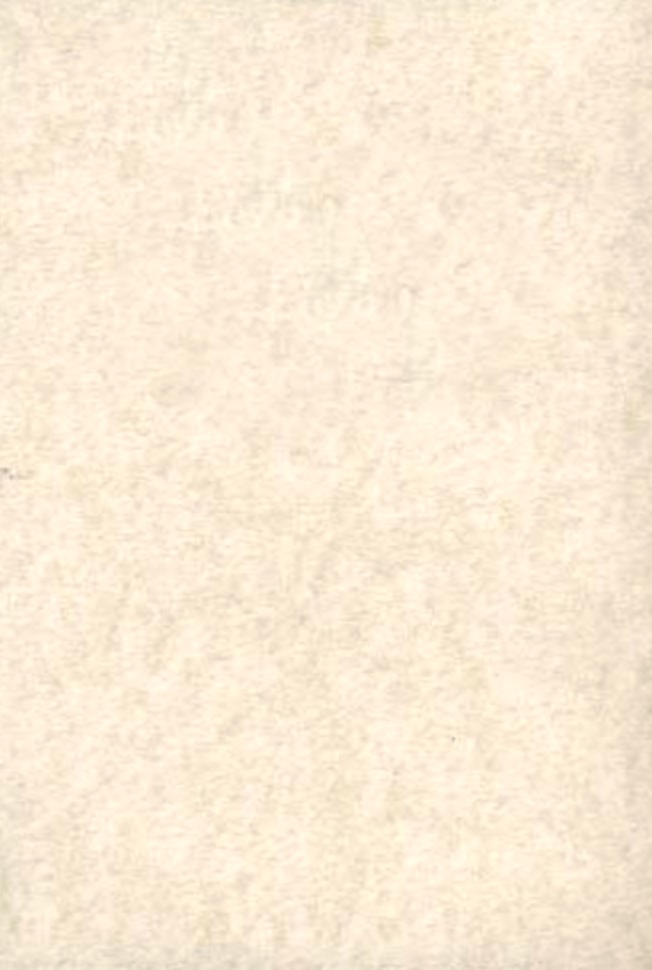 Elefantenhaut Papier/Karton blanko, DIN A4, creme / ivory 190g/m²