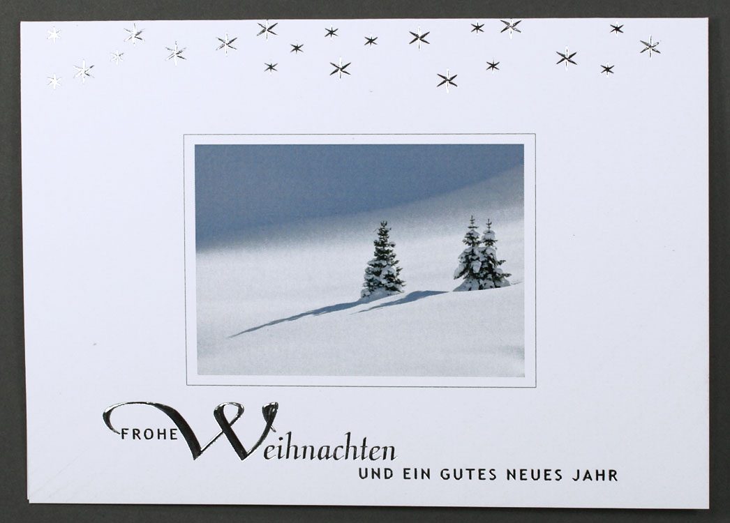 Weihnachtskarte mit Winterlandschaft und silbernen Sternen