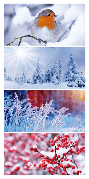 Weihnachtskarte mit Spendenanteil - Vier winterliche Bilder im DIN lang Format