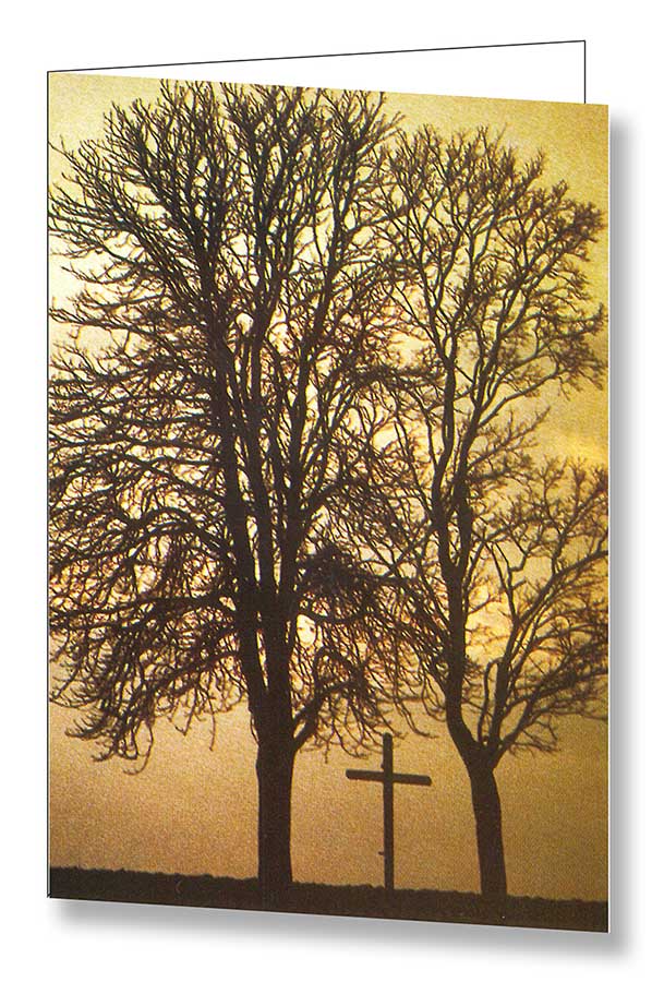 Stimmungsvolles Trauer-Erinnerungskärtchen "Bäume im Abendlicht mit Kreuz"