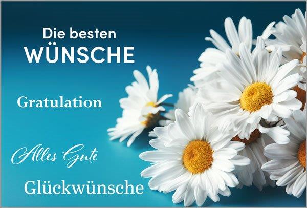 Edle Glückwunschkarte "Margeriten-Traum" mit weicher Soft-Touch-Papierveredelung und Einlegeblatt weiß