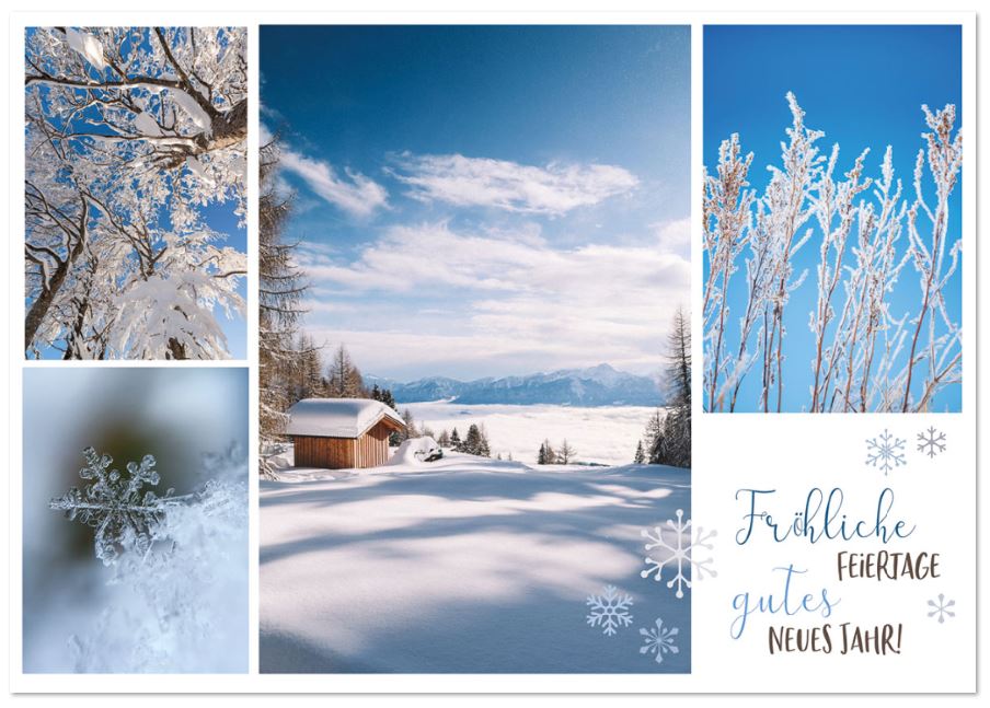 Fotocollage-Weihnachtskarte mit winterlichen Naturbildern und Weihnachts- sowie Neujahrsgruß