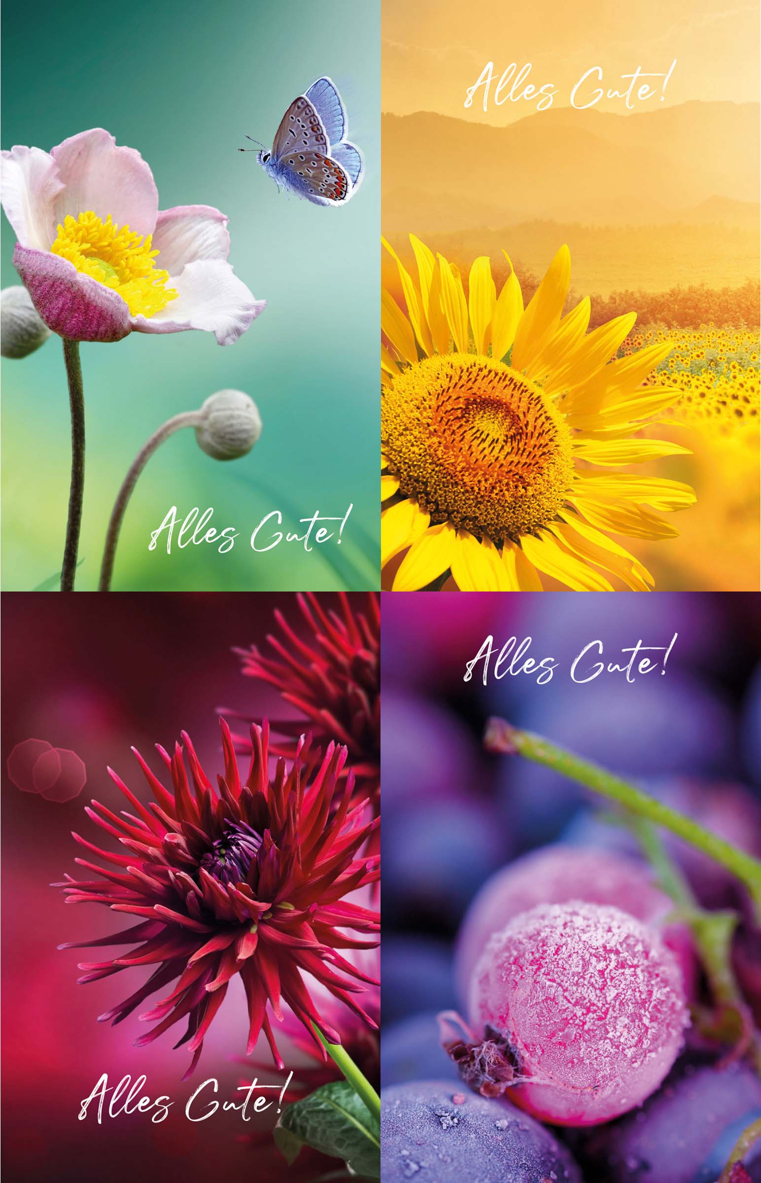 Glückwunschkarten Set vier Jahreszeiten, Frühling, Sommer, Herbst und Winter