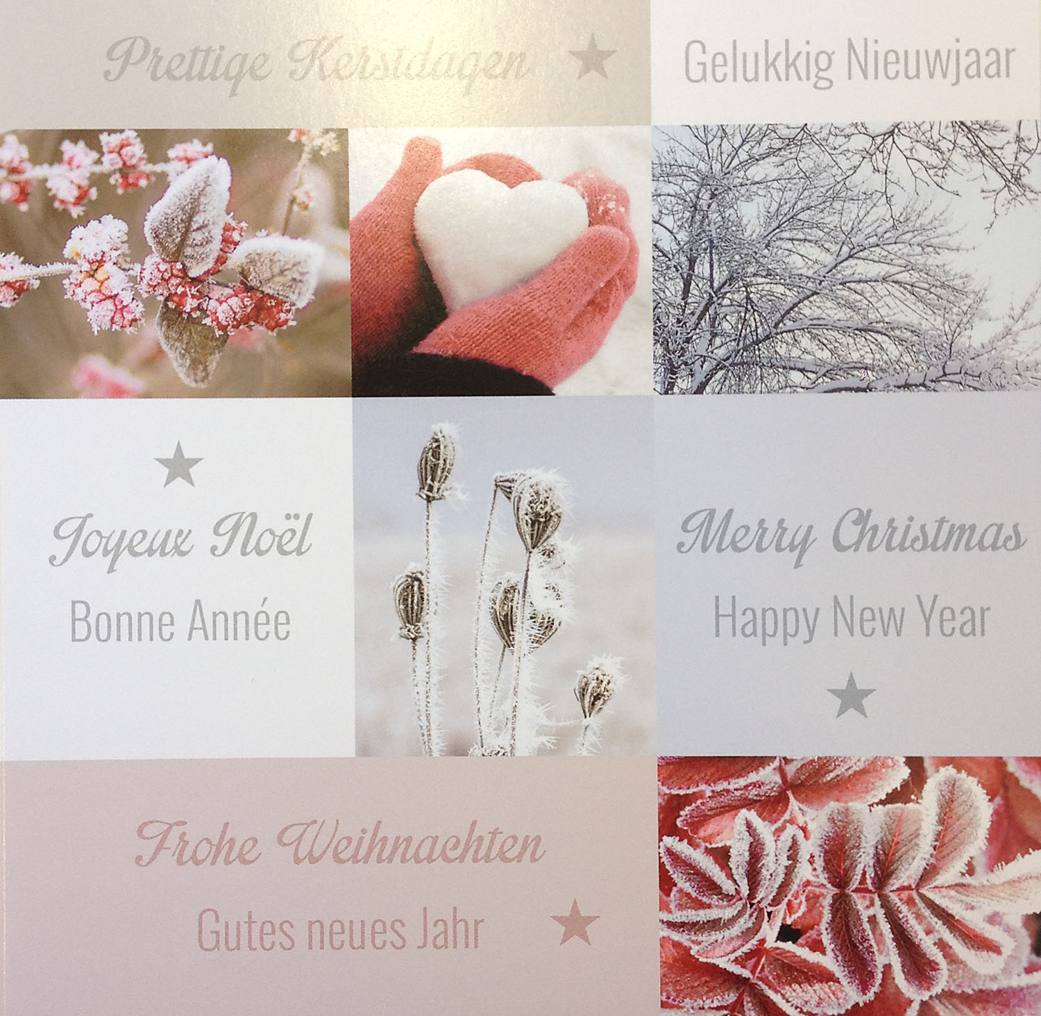 Winter-Weihnachtskarte mit Naturbildern und Spendenzweck: Deutscher Kinderschutzbund e.V.