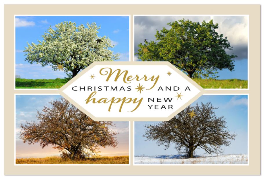 Englischsprachige Weihnachtskarte mit Fotocollage Baum in den vier Jahreszeiten