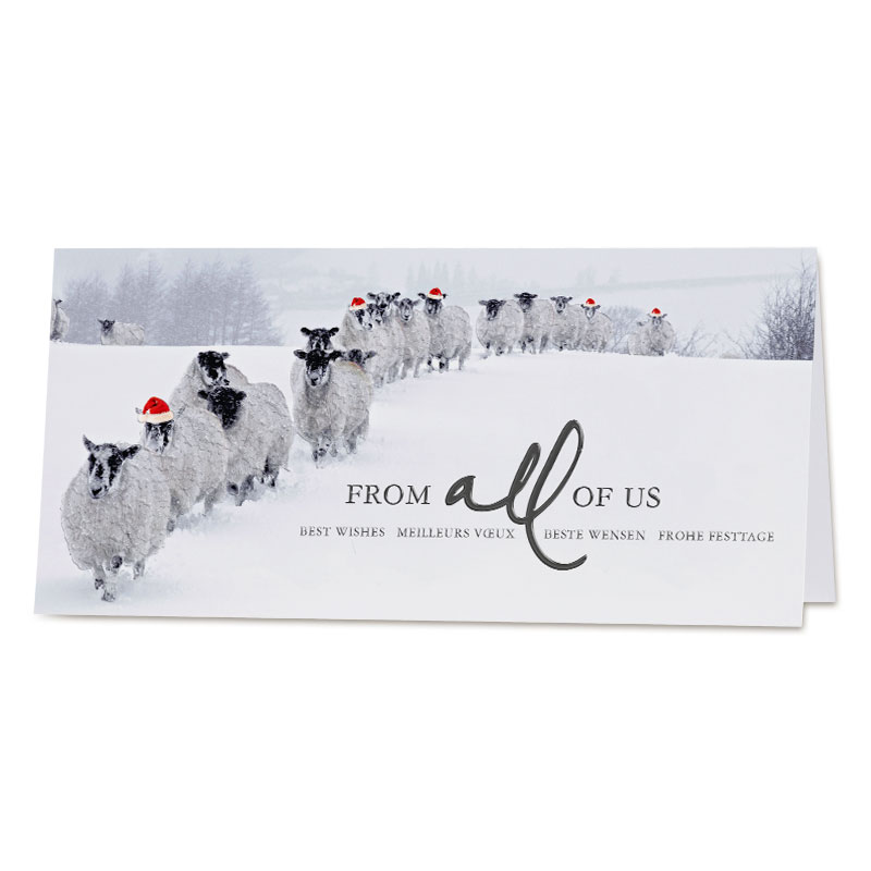 Humorvolle Festtagskarte "Wolliges Miteinander" mit wandernder Schafherde im Winter und internationalen Grüßen, DIN lang