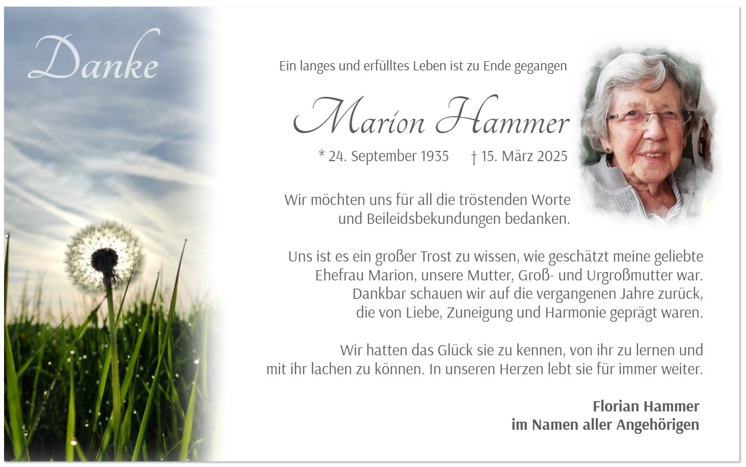 Trauer-Danksagungs-Karte mit Pusteblume im Gegenlicht der aufgehenden Sonne