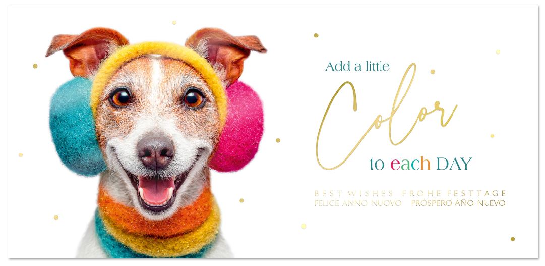 Humorvolle Festtagskarte "Add a little Color to each day" mit treu blickendem Hund im bunten Outfit, DIN lang