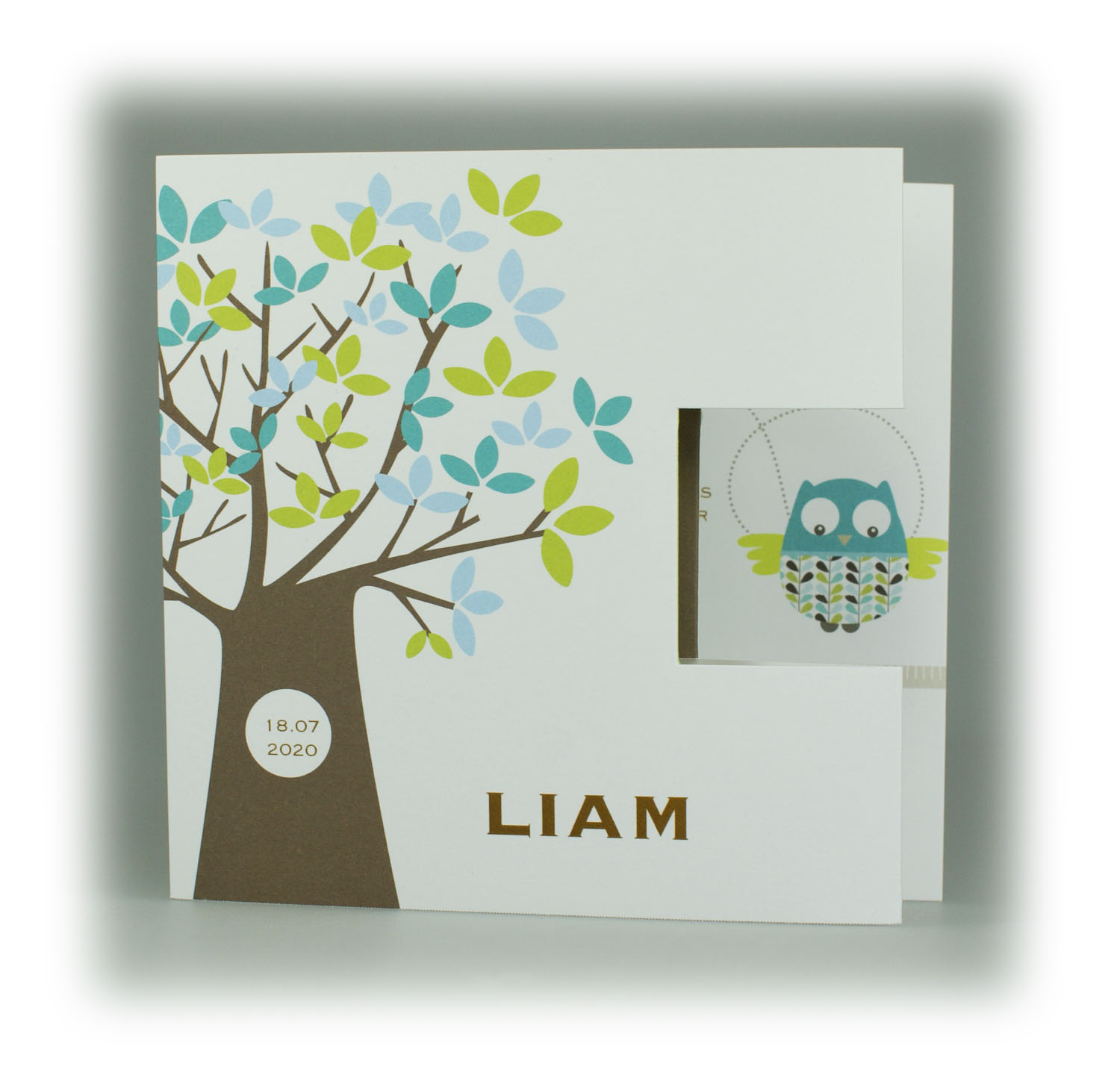 Geburtskarte Leporello mit Baum und Eulen für Jungen