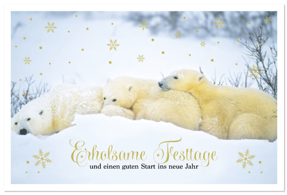 Tierische Weihnachtskarte mit putziger Eisbärfamilie und Weihnachtsgruß in Goldprägung