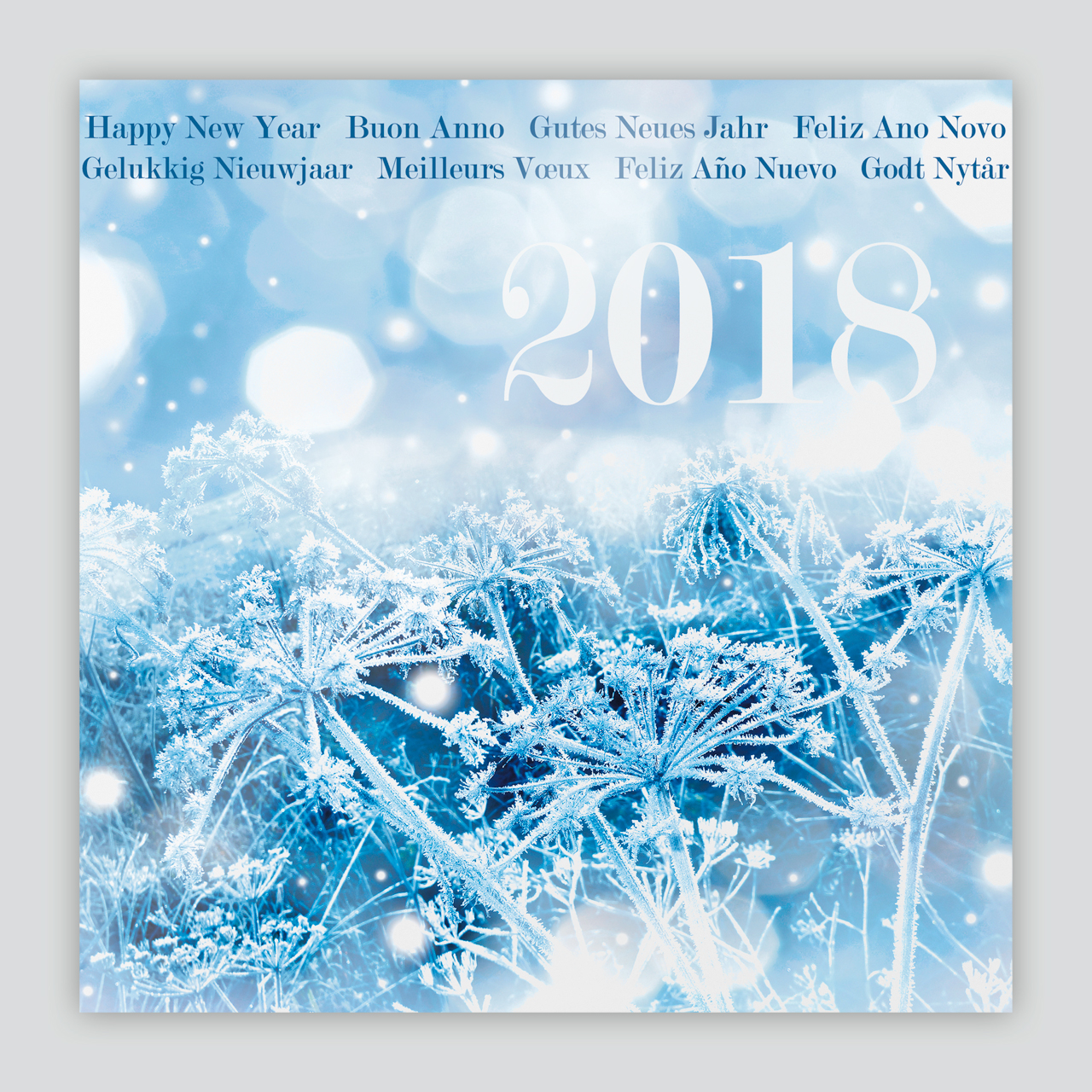 Neujahrskarte quadratisch mit bereiften Blumen und 2018 mit