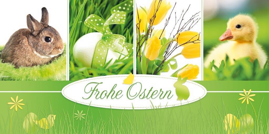 20 Grußkarten hochwertige Premium Karten Ostern Hase Tulpe Blume 130-S1 